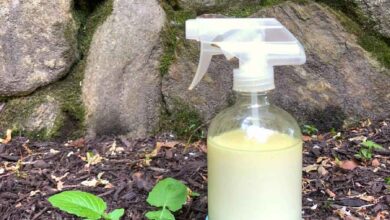 Homemade Weed Killer Recipe