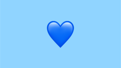 blue heart emoji