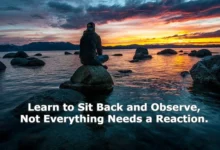 learn to sit back and observe. not everything need - tymoff