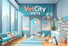 ветеринарная клиника Vetcitypets